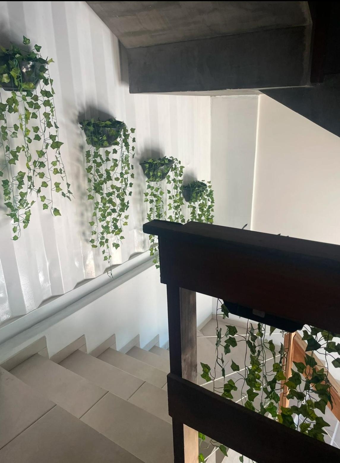Apartamento Canto Palmeiras